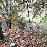 d7e3bbf6-64d7-4e85-b131-bcf922b8678b