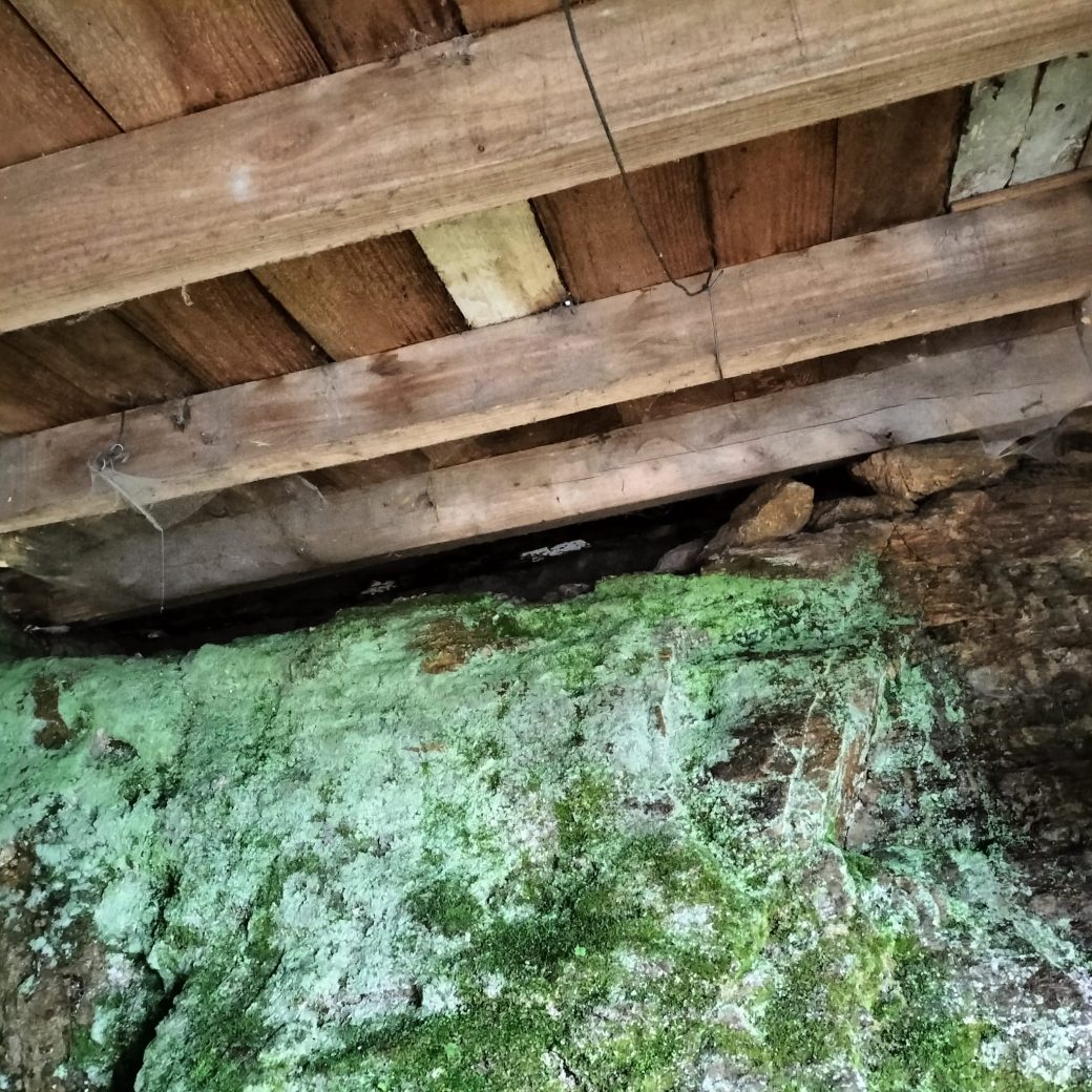 e9ca07b8-3e76-47b8-82ac-f1cdfa10e861