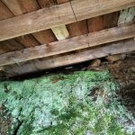 e9ca07b8-3e76-47b8-82ac-f1cdfa10e861