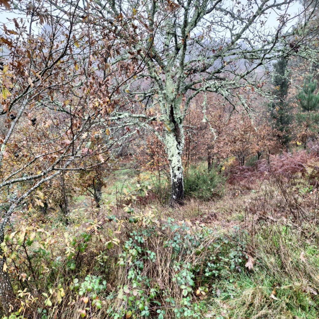 f84a6aa7-1a1d-48c8-9406-5fd57055508c