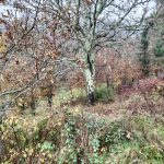 f84a6aa7-1a1d-48c8-9406-5fd57055508c