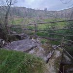 WhatsApp Image 2026-03-21 at 09.13.55 (1)