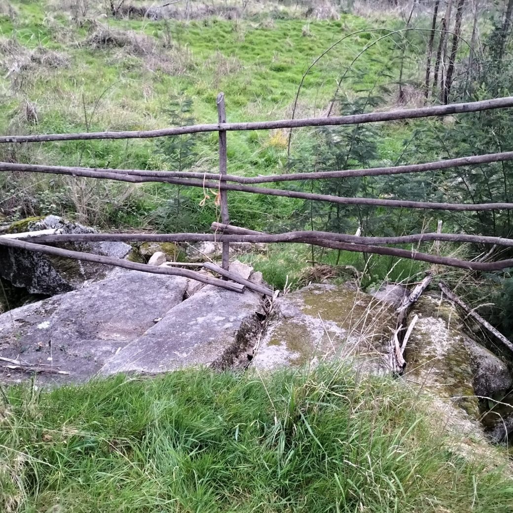 WhatsApp Image 2026-03-21 at 09.13.56 (1)