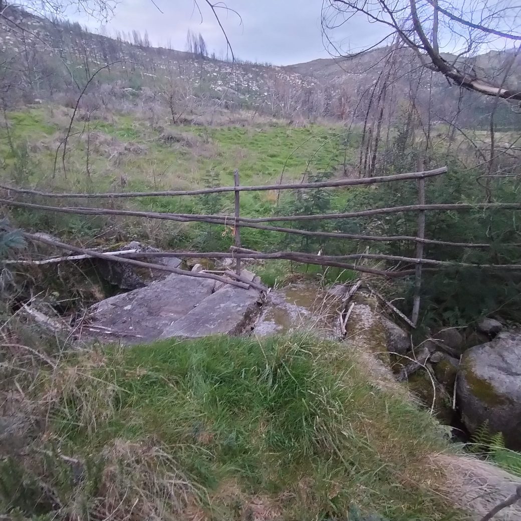 WhatsApp Image 2026-03-21 at 09.13.56