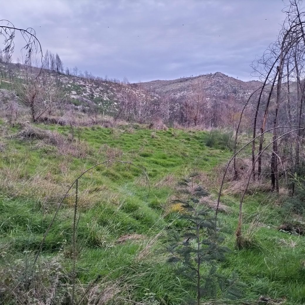 WhatsApp Image 2026-03-21 at 09.13.57