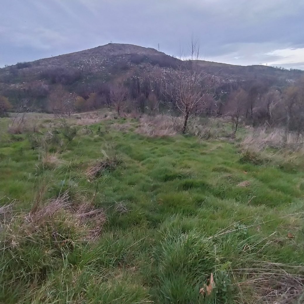 WhatsApp Image 2026-03-21 at 09.14.19 (1)