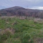 WhatsApp Image 2026-03-21 at 09.14.19 (1)