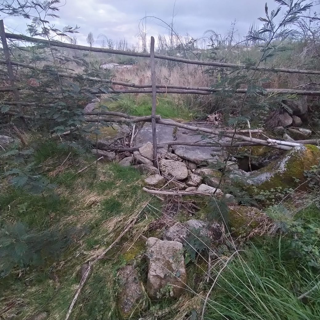 WhatsApp Image 2026-03-21 at 09.14.19