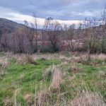 WhatsApp Image 2026-03-21 at 09.14.19 (2)