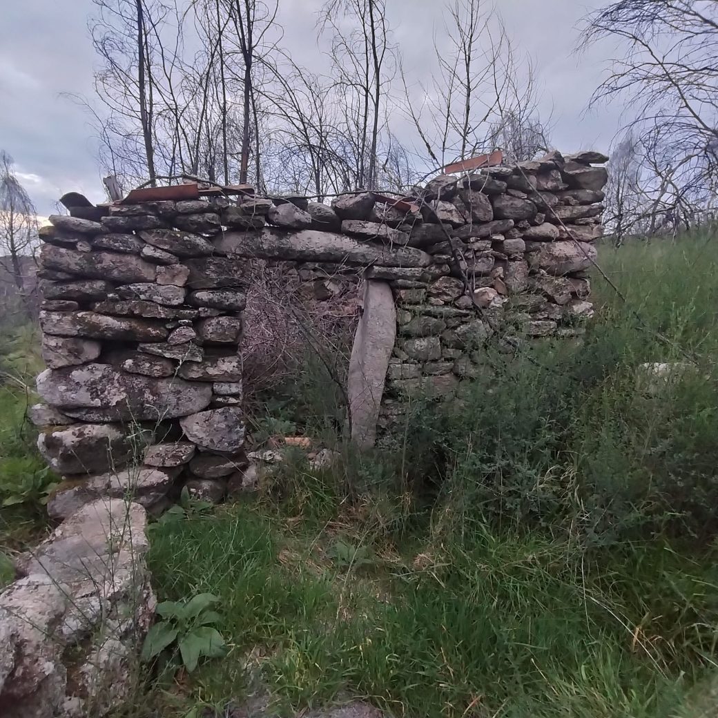 WhatsApp Image 2026-03-21 at 09.14.19 (5)