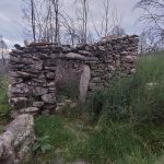 WhatsApp Image 2026-03-21 at 09.14.19 (5)