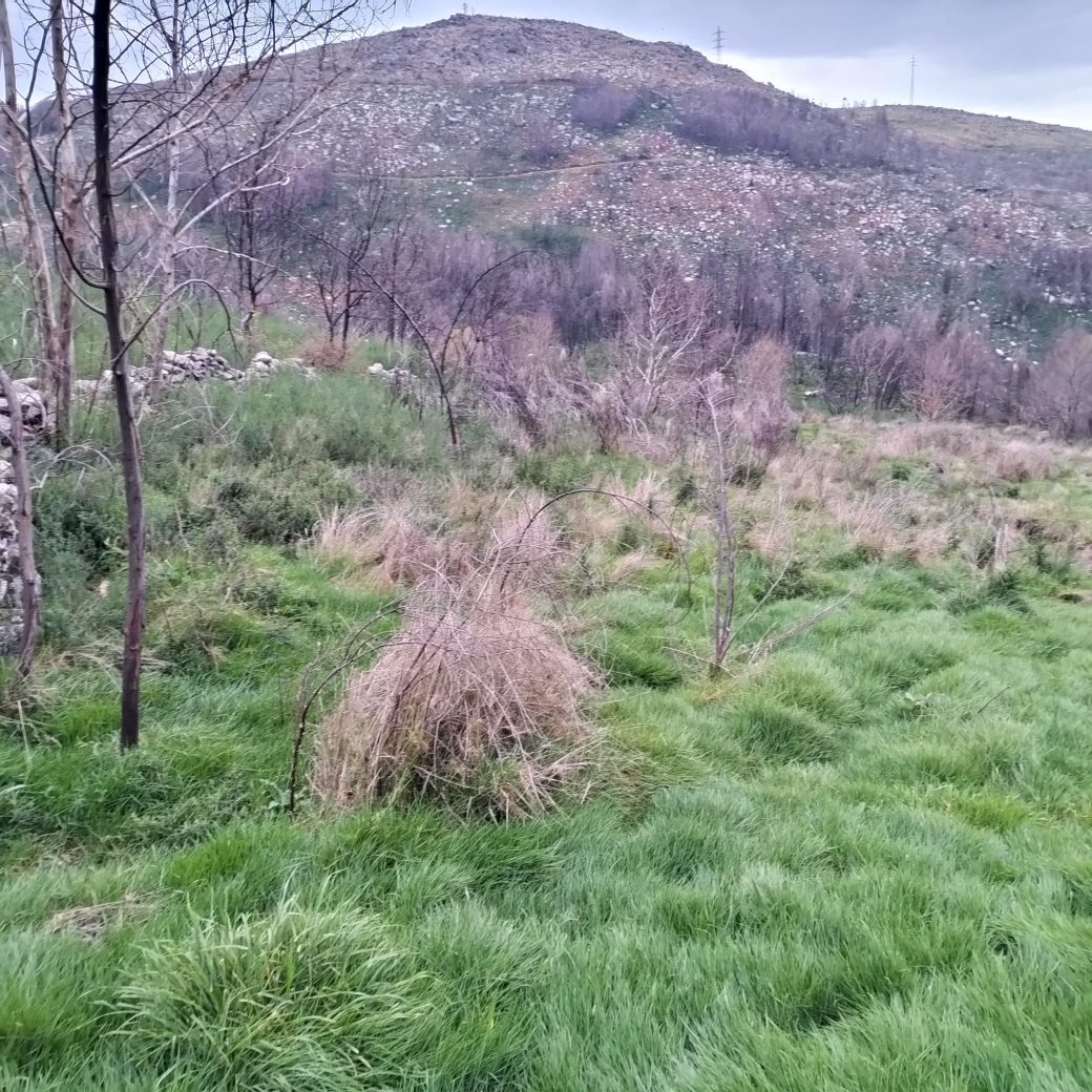 WhatsApp Image 2026-03-21 at 09.14.19 (6)