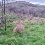 WhatsApp Image 2026-03-21 at 09.14.19 (6)