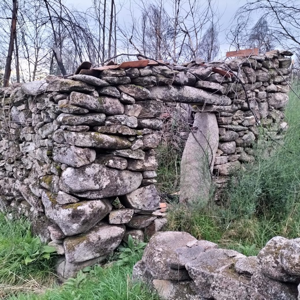 WhatsApp Image 2026-03-21 at 09.14.20 (1)