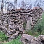 WhatsApp Image 2026-03-21 at 09.14.20 (1)