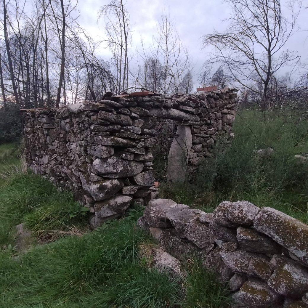 WhatsApp Image 2026-03-21 at 09.14.20