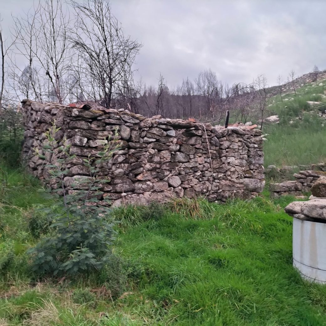 WhatsApp Image 2026-03-21 at 09.14.20 (2)