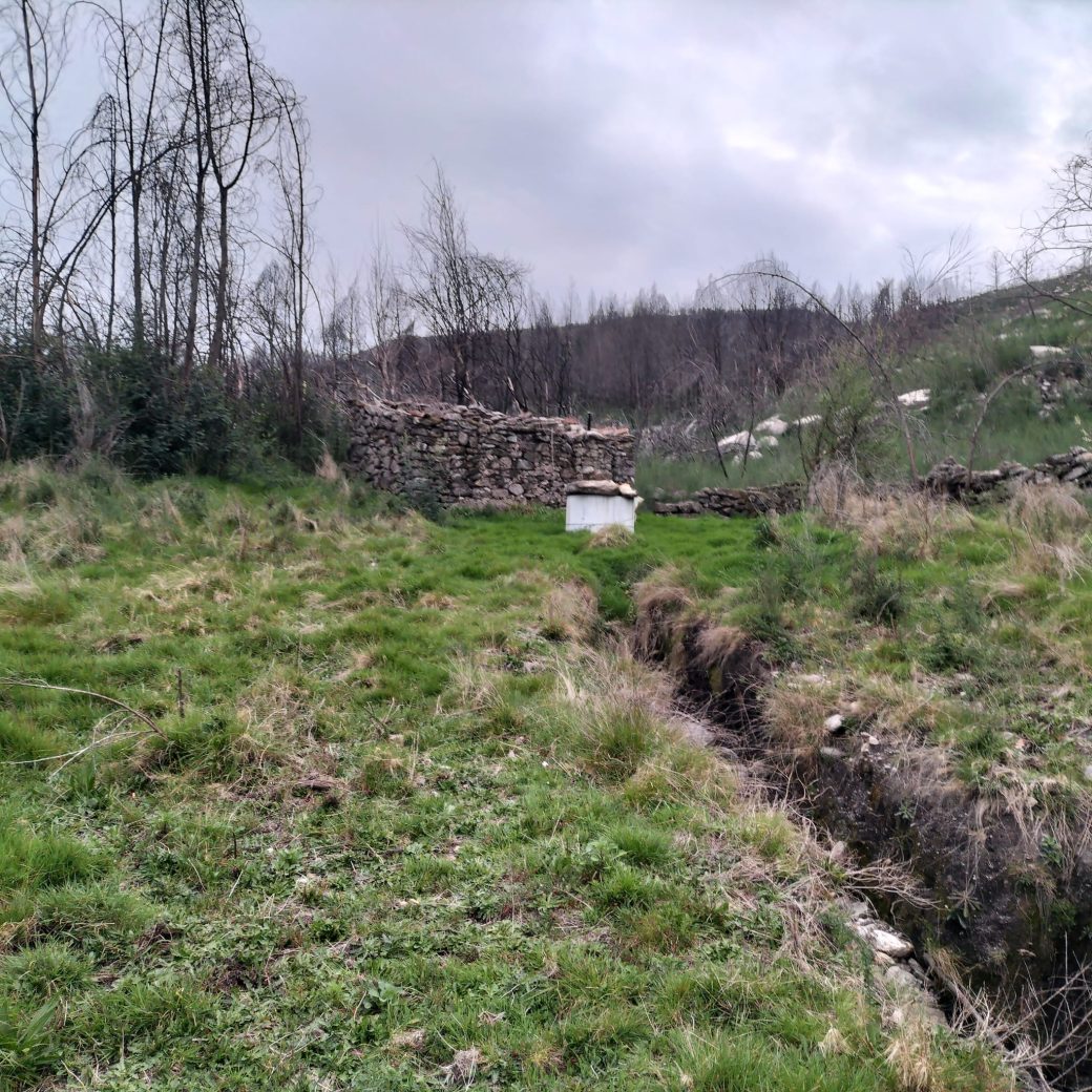 WhatsApp Image 2026-03-21 at 09.14.20 (3)