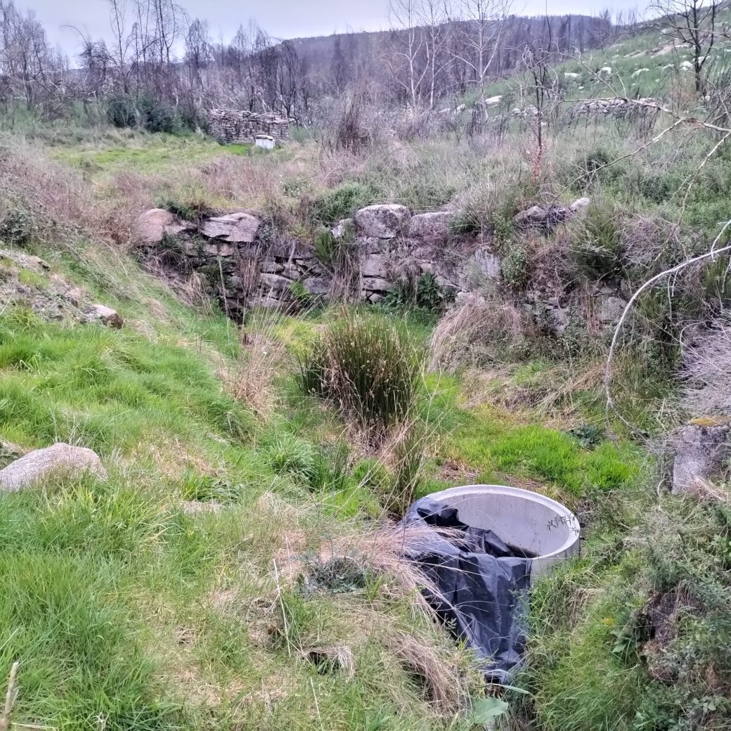 WhatsApp Image 2026-03-21 at 09.14.20 (5)