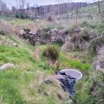 WhatsApp Image 2026-03-21 at 09.14.20 (5)