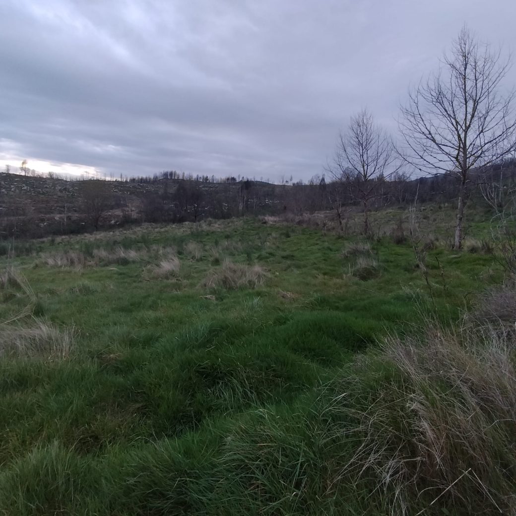 WhatsApp Image 2026-03-21 at 09.14.20 (8)