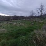 WhatsApp Image 2026-03-21 at 09.14.20 (8)