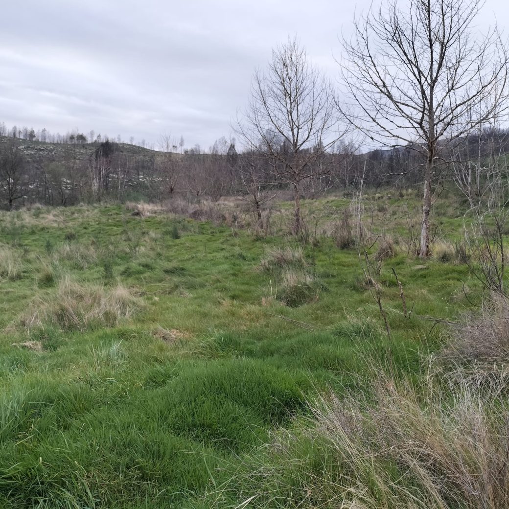 WhatsApp Image 2026-03-21 at 09.14.20 (9)