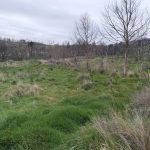 WhatsApp Image 2026-03-21 at 09.14.20 (9)