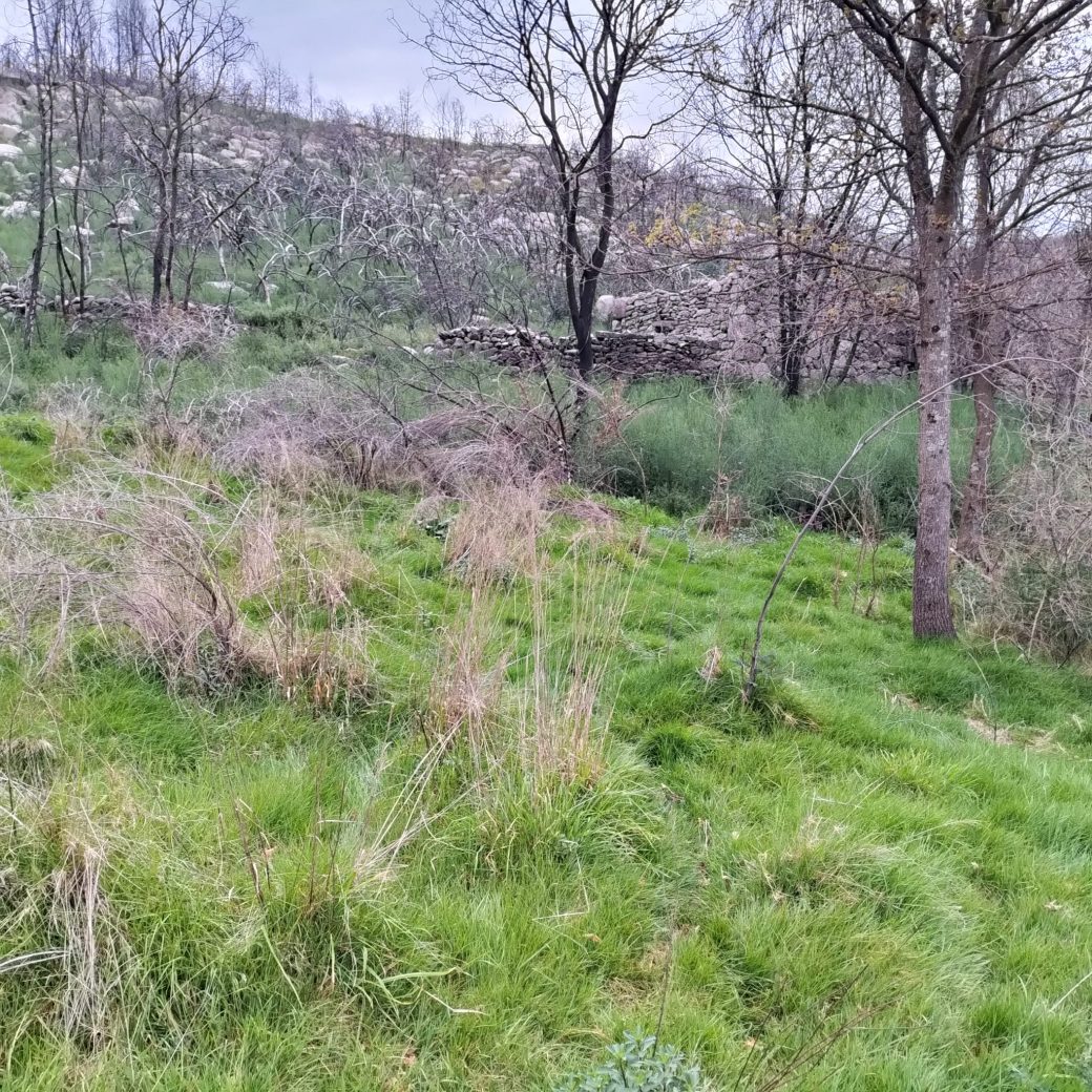 WhatsApp Image 2026-03-21 at 09.14.21 (1)