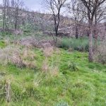 WhatsApp Image 2026-03-21 at 09.14.21 (1)