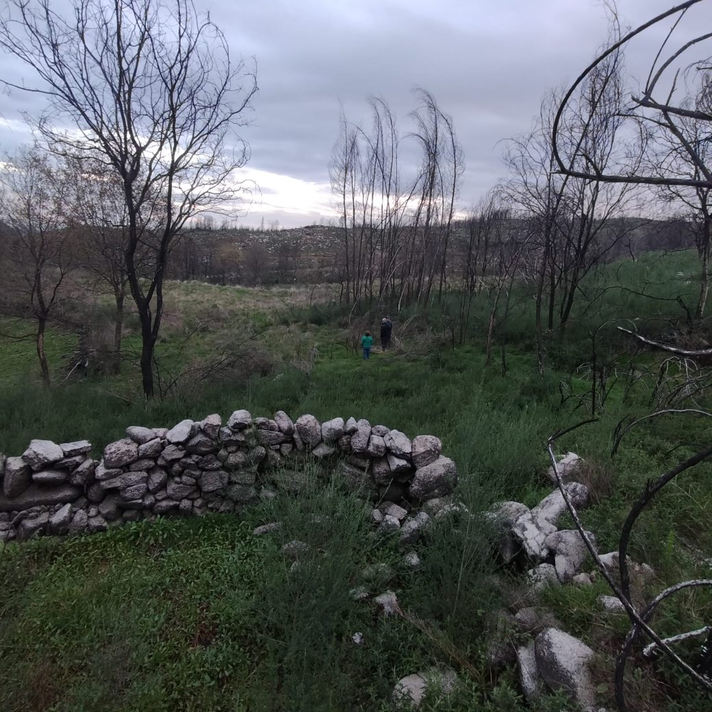 WhatsApp Image 2026-03-21 at 09.14.21 (4)