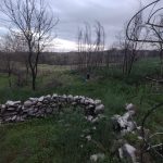 WhatsApp Image 2026-03-21 at 09.14.21 (4)