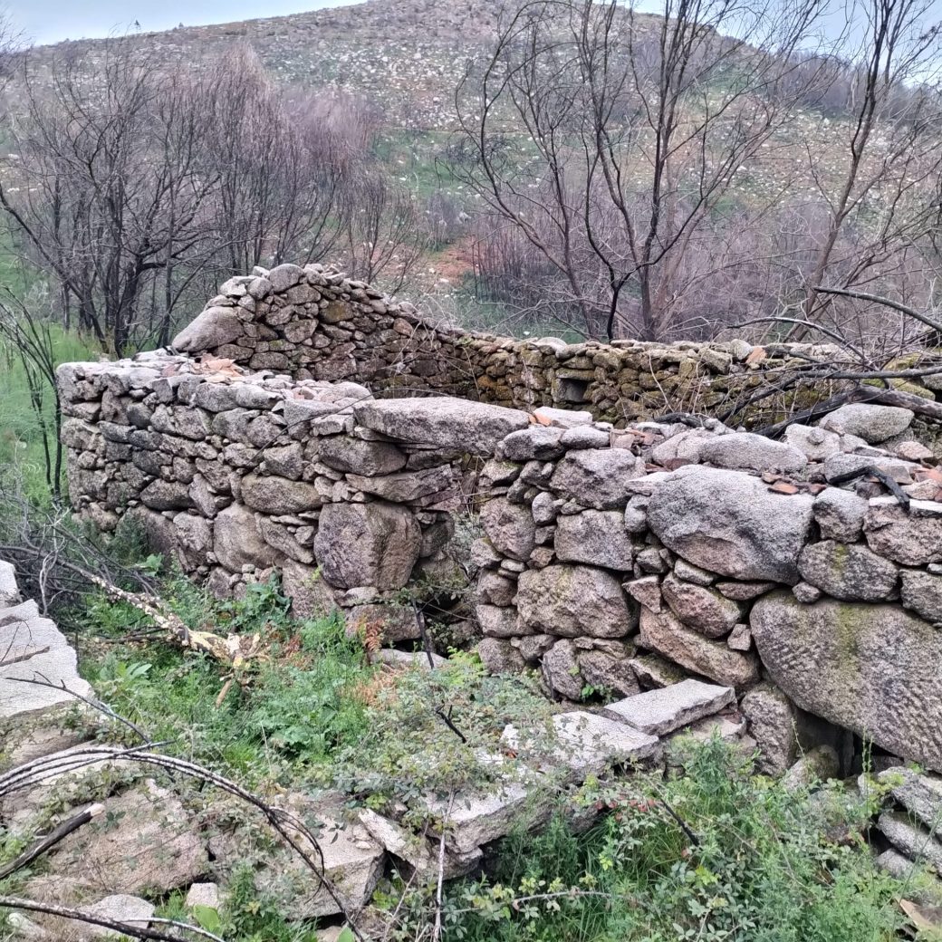 WhatsApp Image 2026-03-21 at 09.14.22 (1)