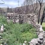 WhatsApp Image 2026-03-21 at 09.14.22 (3)