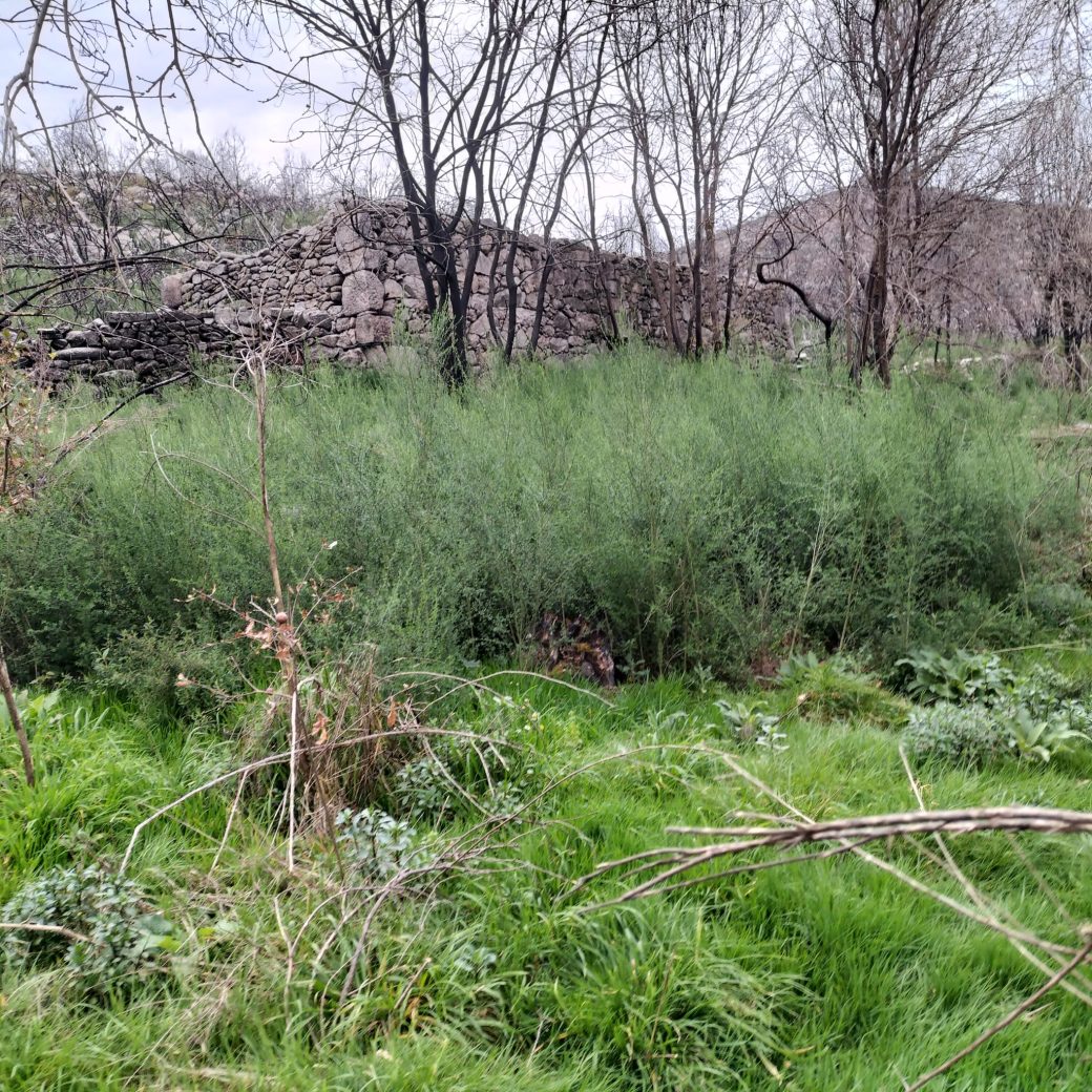 WhatsApp Image 2026-03-21 at 09.14.22 (6)