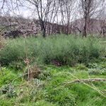 WhatsApp Image 2026-03-21 at 09.14.22 (6)