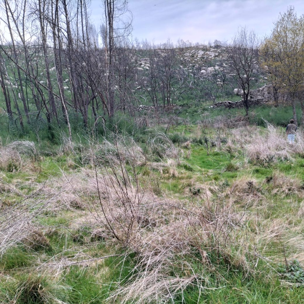 WhatsApp Image 2026-03-21 at 09.14.23 (1)