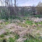 WhatsApp Image 2026-03-21 at 09.14.23 (1)