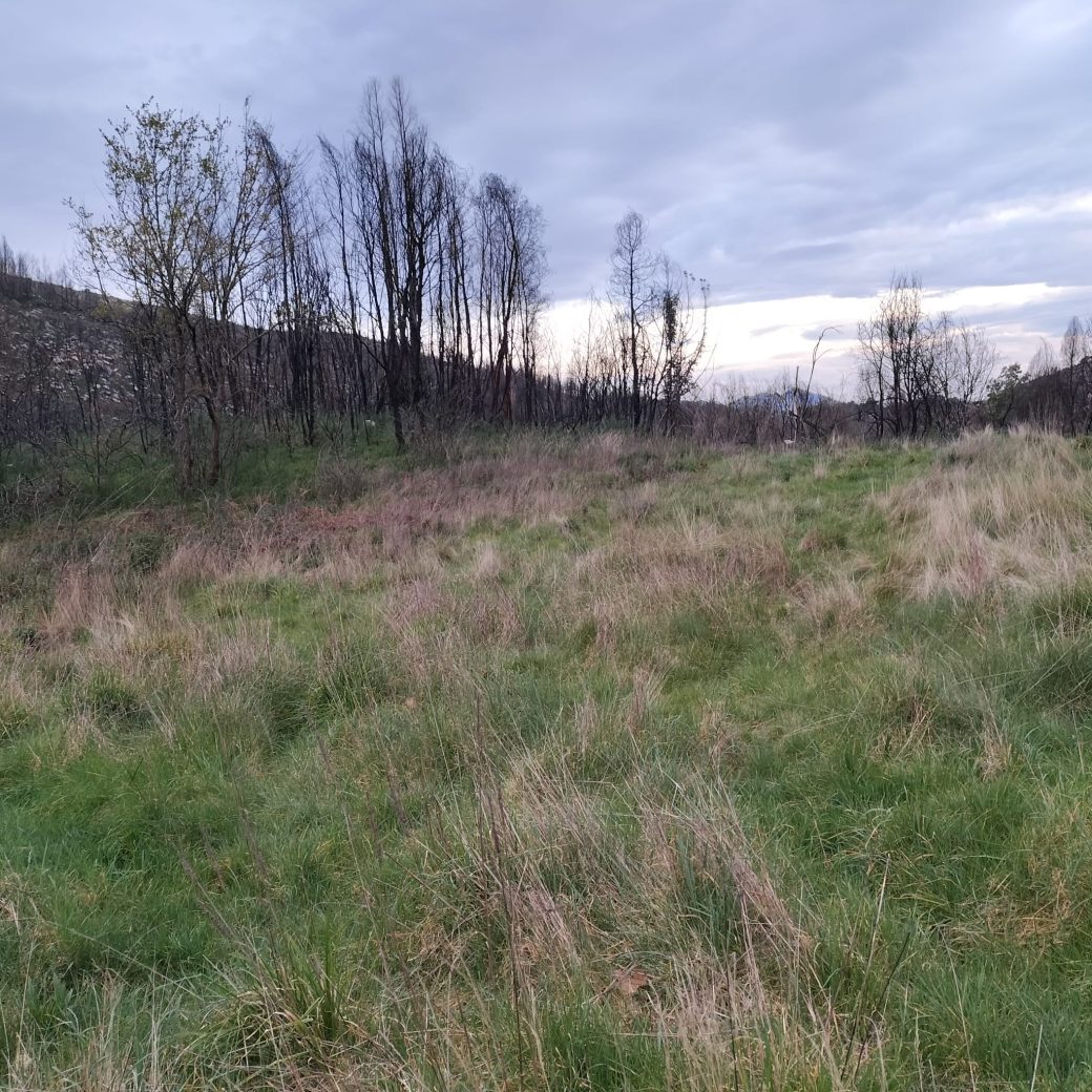 WhatsApp Image 2026-03-21 at 09.14.23