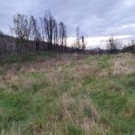 WhatsApp Image 2026-03-21 at 09.14.23