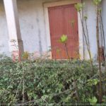 WhatsApp Image 2026-03-18 at 17.58.45