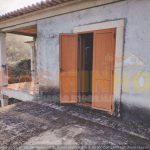 WhatsApp Image 2026-03-18 at 17.58.56 (7)