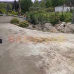 WhatsApp Image 2026-04-12 at 17.25.50