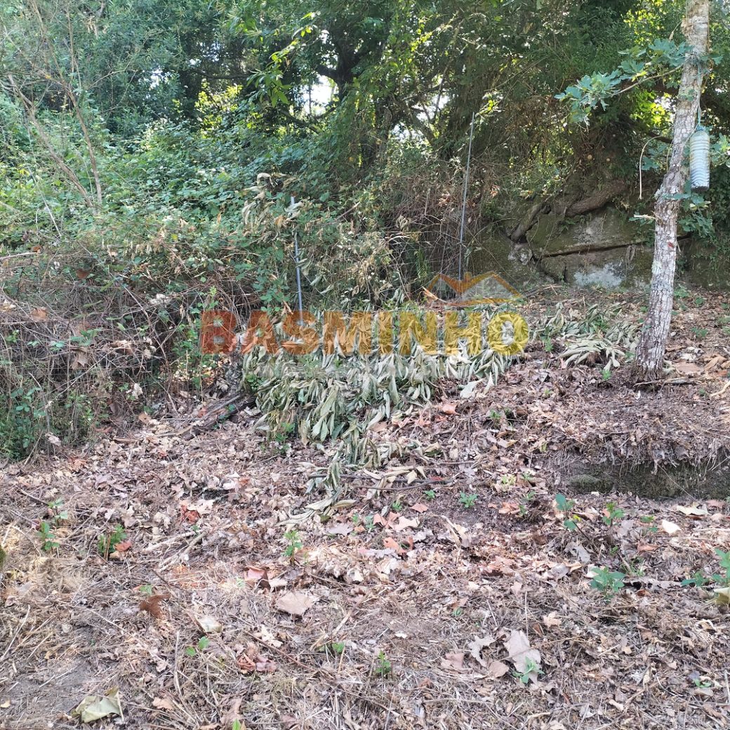 IMG20260613114425