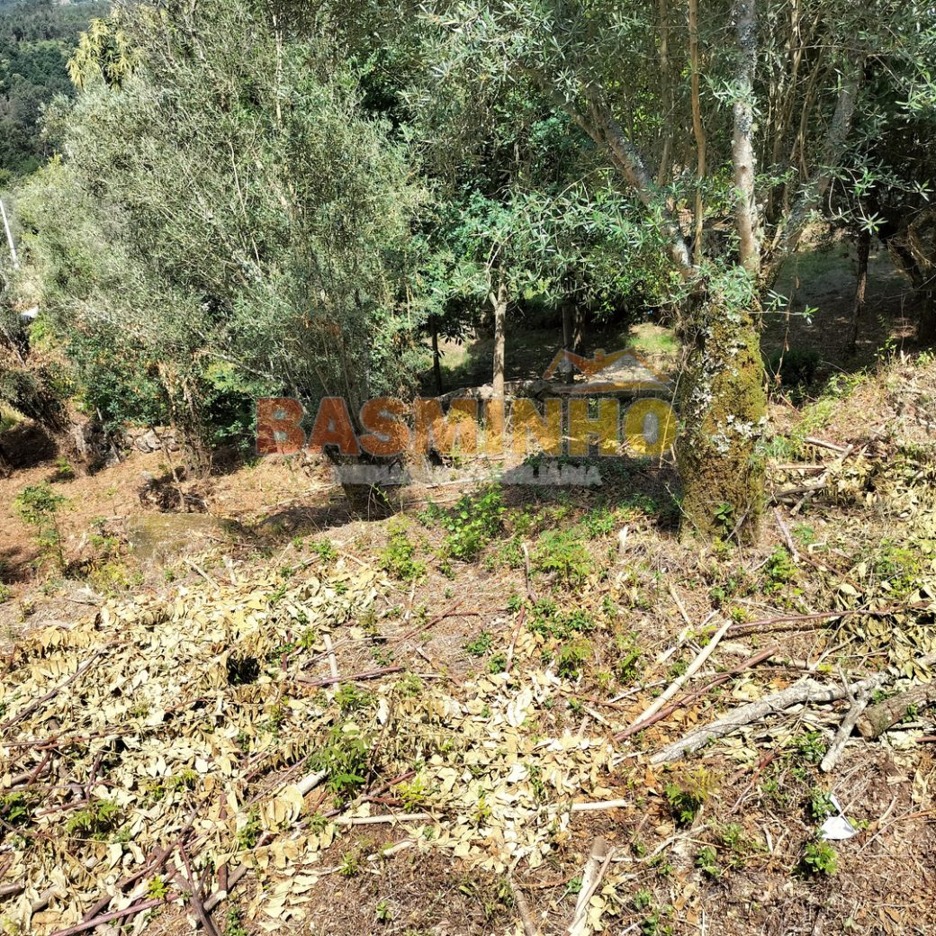 IMG20260613114806
