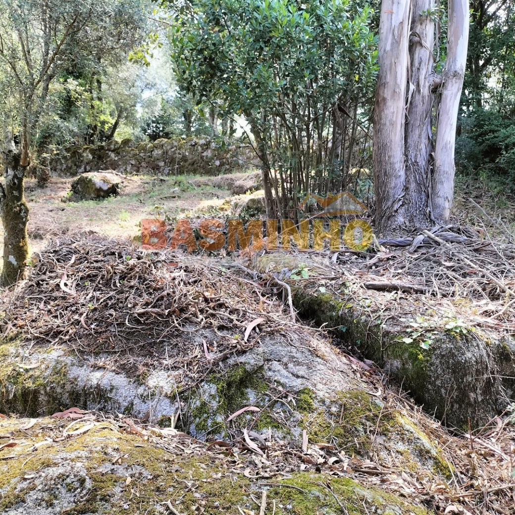IMG20260613115028