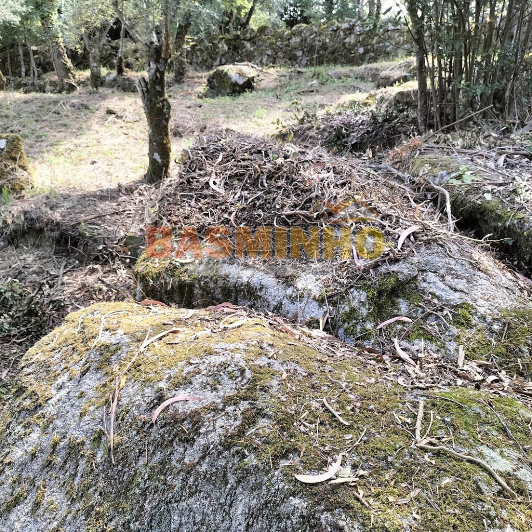 IMG20260613115035