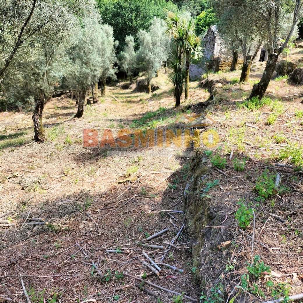 IMG20260613115109