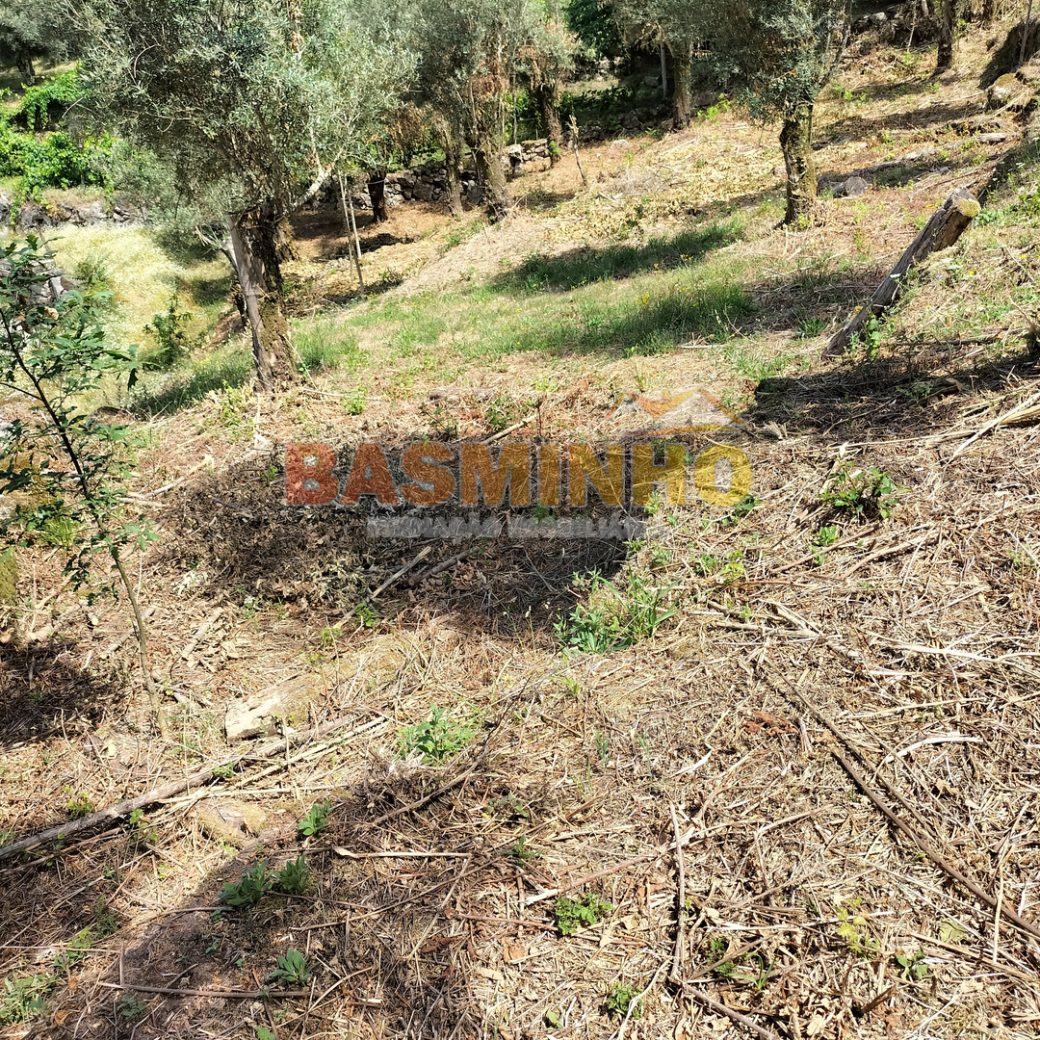 IMG20260613115203