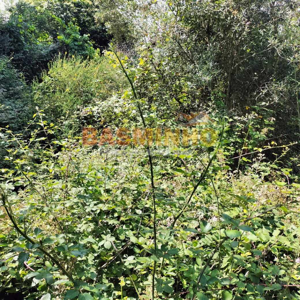 IMG20260613121046